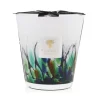 Marie Dumas Baobab Collection Rainforest Amazonia Medium Candle