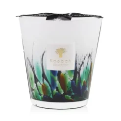 Marie Dumas Baobab Collection Rainforest Amazonia Medium Candle