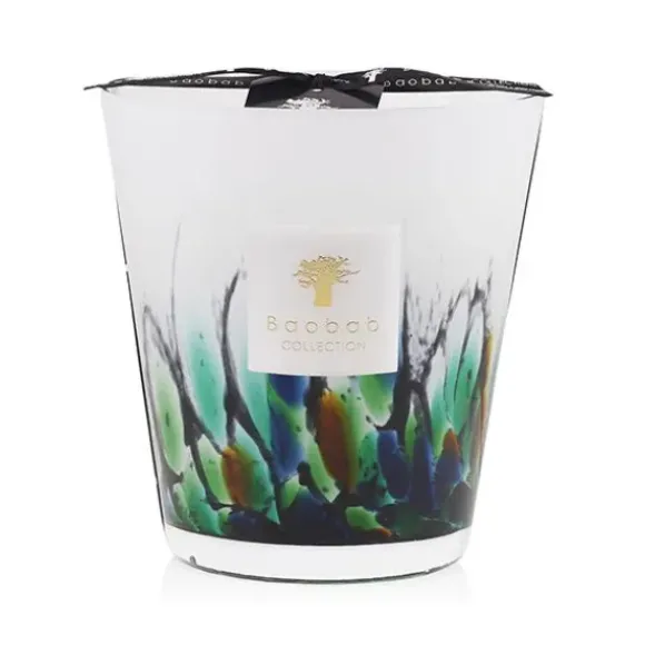 Marie Dumas Baobab Collection Rainforest Amazonia Medium Candle