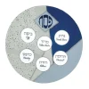 Marie Dumas Blue Glitter Seder Plate
