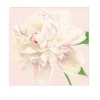 Marie Dumas Blush Luncheon Napkins