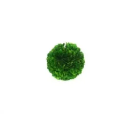 Marie Dumas Boxwood Ball - 4"