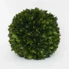 Marie Dumas Boxwood Ball - 6"