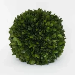 Marie Dumas Boxwood Ball - 6"