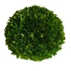 Marie Dumas Boxwood Ball - 10"
