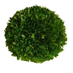 Marie Dumas Boxwood Ball - 10"