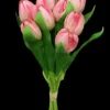 Marie Dumas Bundle of 8 Pink Tulips
