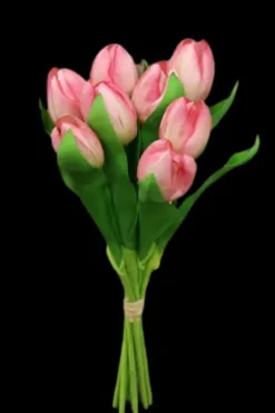 Marie Dumas Bundle of 8 Pink Tulips