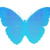 Marie Dumas Butterfly Bleu Wall Art