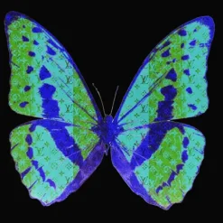 Marie Dumas Butterfly Bluemoon Wall Art