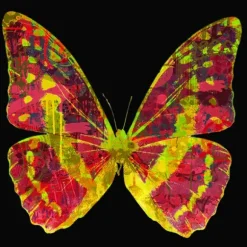 Marie Dumas Butterfly Firelight Wall Art