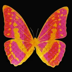 Marie Dumas Butterfly Pinkish Wall Art