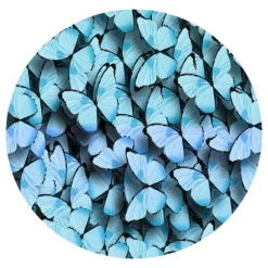 Marie Dumas Circle of Wings Wall Art