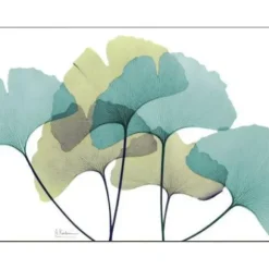 Marie Dumas Cork Placemats Set of 4 - Ginkgo