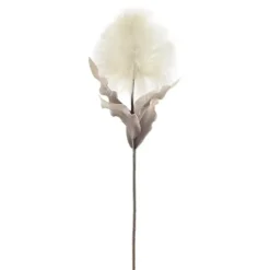 Marie Dumas Cream Blooming Feather Pod Stem
