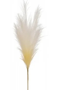 Marie Dumas Cream Plume Pampas Branch