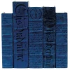 Marie Dumas Denim Antique Scripted Decor Book