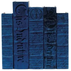 Marie Dumas Denim Antique Scripted Decor Book