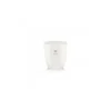 Marie Dumas Dr. Vranjes Ginger Lime Extra Small White Candle