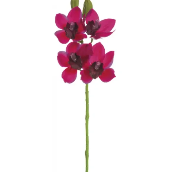 Marie Dumas Fuchsia Orchid Spray