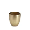 Marie Dumas Gold Brass Tumbler