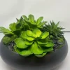 Marie Dumas Green Succulent Floral Arrangement