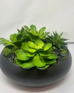 Marie Dumas Green Succulent Floral Arrangement