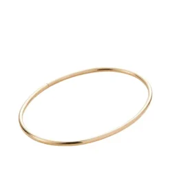 Marie Dumas Jenny Bird Dane Gold Anklet
