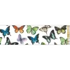 Marie Dumas Mariposa Long Matches