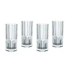Marie Dumas Nachtmann Aspen Long Drink Glasses Set of 4