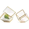 Marie Dumas Oro Cube Terrariums - Set of 2