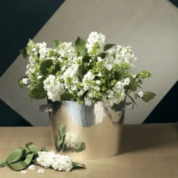 Marie Dumas Oval Silver Container Planter