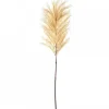 Marie Dumas Pampass Grass
