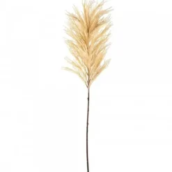 Marie Dumas Pampass Grass
