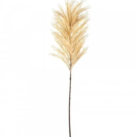 Marie Dumas Pampass Grass