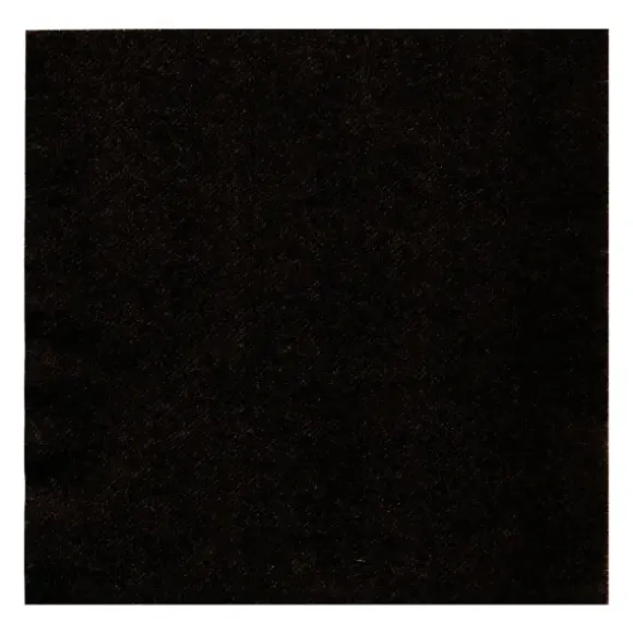 Marie Dumas Paviot Solid Black Dinner Napkins