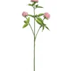 Marie Dumas Pink Clover Spray