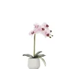 Marie Dumas Pink Single Orchid Arrangement in Ceramic Planter