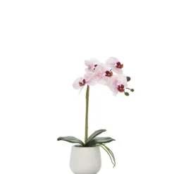 Marie Dumas Pink Single Orchid Arrangement in Ceramic Planter