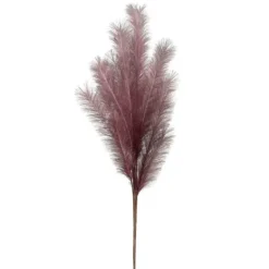 Marie Dumas Purple Pampas Feather Stem