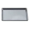 Marie Dumas Rectangular Nickel Tray