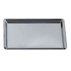 Marie Dumas Rectangular Nickel Tray