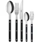Marie Dumas Sabre Bistrot 5 Piece Place Setting